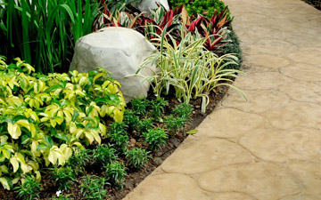 Landscaping Services Toronto